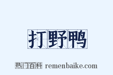 打野鸭是什么意思的图片